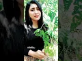 Download Lagu cinta engkau akhiri
