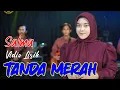 Download Lagu TANDA MERAH | Lirik Lagu  | SALMA COVER DANGDUT TERBARU 2024