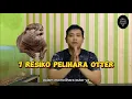 Lagu 7 RESIKO MEMELIHARA OTTER ATAU BERANG BERANG PAHAMI SEBELUM MEMBELI SARAN PAKMUS SEMOGA BERMANFAAT