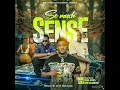 Young Luka ft.Ozone Africa & Rich Kid Barotse -So Much Sense (Official Audio)
