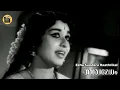 Lagu Ezhu Sundara Raathrikal | Seven Beautiful Nights | Aswamedham| Movie Song | P. Susheela |Central Talkies
