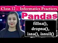 Pandas DataFrame - fillna dropna isna isnull CBSE Class 12