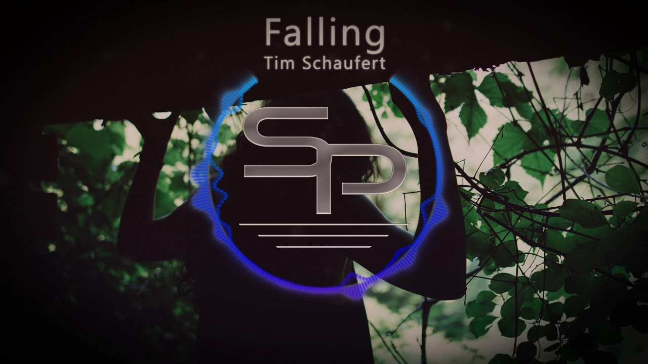 Tim Schaufert - Falling