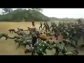 Download Lagu Terpesona, Aku Terpesona | Yel - Yel TNI AD
