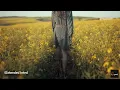 Yung Yury & Damn Yury - TABU.   (@dj-looped Extended Edit) | Lyrics video