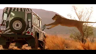  prey 2007 film explained in hindi urdu survival movies