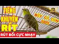 Download Lagu Tiếng Khuyên Rít Kéo Bổi Về Hiệu Quả Nhất Cho AE Bẫy Khuyên Đi Đàn Mùa Đông - File Vip | KTB