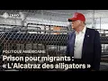 Download Lagu L’« Alcatraz des alligators », une prison pour migrants : l'avis d'un expert | D'abord l'info