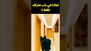 قطة سوداء أمام بابك يومي ا سحر خطير لا تستهين به 
