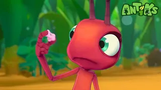antiks sticky shoes funny cartoons for kids