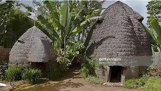 woalaloo hortee omoroo by shiek ali shune