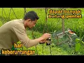 Download Lagu WOW begini jadinya mikat burung pentet di spot rahasia