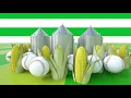 Covering every base in agriculture - CHS Field CHS Inc