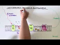 Light-Dependent Reactions of Photosynthesis