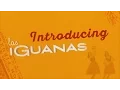 Introducing Las Iguanas