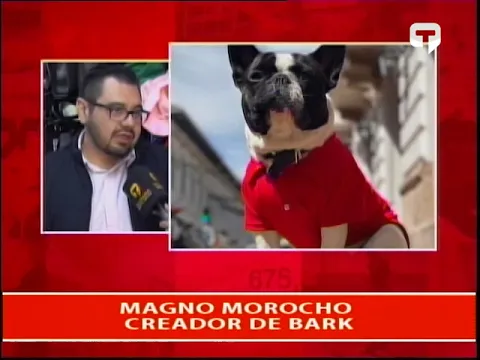 Bark marca de moda canina con diseños únicos - Cuenca