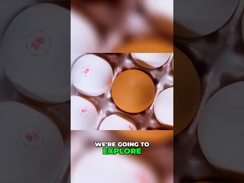 Why Is a Fragile Egg So Hard to Crush?