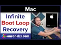 macOS Infinite Boot Loop Recovery No Backup No Data Loss