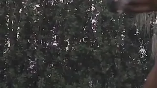 الفنان محمود سليم ياجرح فى ظهر الفرس تحت السرج مدارى دندنها