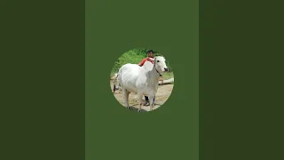 Jitu Revolutionary Farmer is live