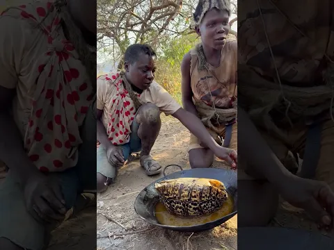 Dudukwe can’t miss eating tortoise meat