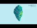 Download Lagu SABINA  - Lepidoptera (Official Audio)