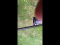 Murray 2500 weed wacker