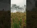Download Lagu pak tani