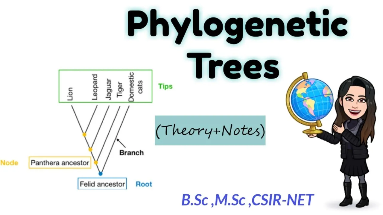 Phylogenetic Trees -Full Theory Explanation|B.sc M.sc CSIR-NET |Part-1 hindi +English ◆ Easy Notes