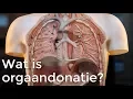 Lagu Wat is orgaandonatie? | Het Klokhuis