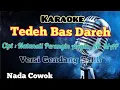Download Lagu TEDEH BAS DAREH | KARAOKE LAGU KARO | VERSI GENDANG SALIH | NADA COWOK