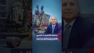 محافظ القاهرة عن قطع أشجار شارع جامعة الدول والعبور: هنكثف الزراعات في الفترة المقبلة