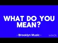 Download Lagu Justin Bieber - What Do You Mean (Lyrics)