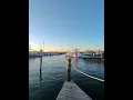 Why You Shouldn t Move to Orange Beach Alabama Until You Watch This NEW