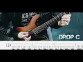 Kanonenfieber - Kampf und Sturm | Guitar Cover | Tab