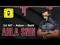 Adam x Balti feat. Jimmy H. - Ahla Snin | احلى سنين REMIX Dj M7