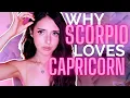 SCORPIO and CAPRICORN Compatibility Are they a good match Puro Astrology