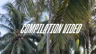 MAASIM TA VINES COMPILATION 🤣