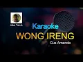 Download Lagu KARAOKE WONG IRENG
