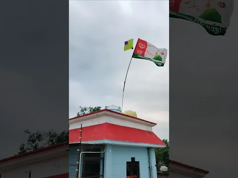 kite looting from rooftop 😍।। #shorts #kitelooting #kite #patang #pqtangwala #looting #fun #rooftop