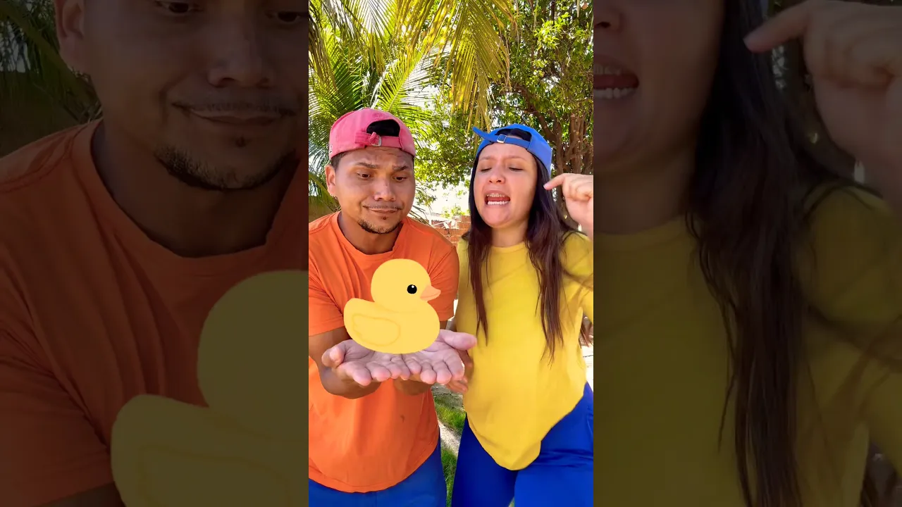 O PATINHO FOI EMBORA