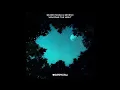 Silver Panda & Sevenn - Welcome The Night (Official Audio)