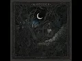 Toe to Toes - Mastodon