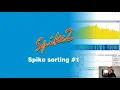 Spike2 Sorting 2021