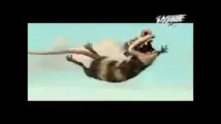 زهرة زهرة شوفي راني طاير 