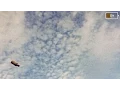 Download Lagu $UICIDEBOY$ - DEAD BATTERIES