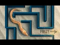 Wild Sea Creatures vs Maze Can They Solve It