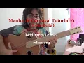 Manha de Carnaval Tutorial 1 learn it in Paco de Lucia´s Style /Ruben Diaz flamenco lessons Skype