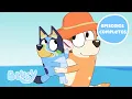Conoce el mundo con Bluey episodios completos Bluey Espanol Canal