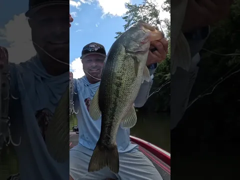 💥 This Subtle Spot Holds Big Bass 💥